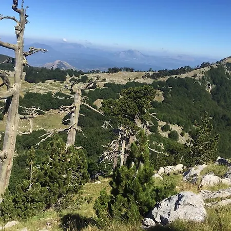 La Stella Del Pollino Casa de hóspedes *