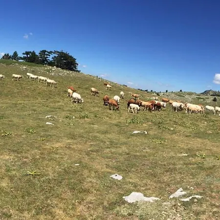 La Stella Del Pollino *