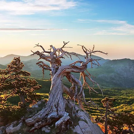 La Stella Del Pollino Pensión