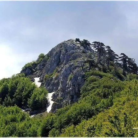 La Stella Del Pollino San Lorenzo Bellizzi