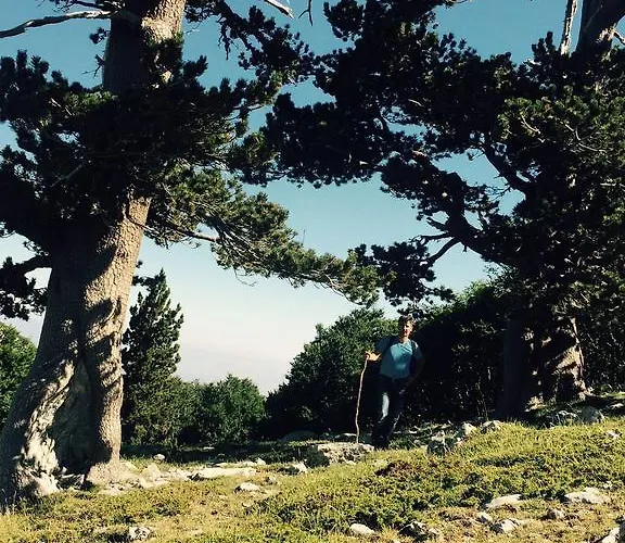 Gasthof La Stella Del Pollino