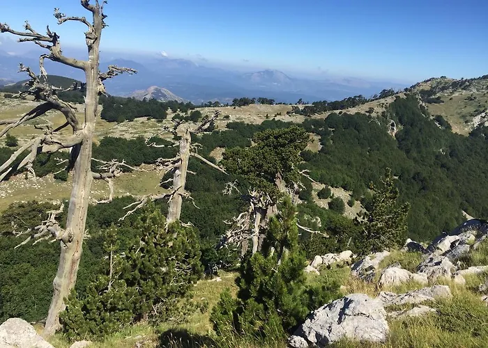 La Stella Del Pollino ゲストハウス *