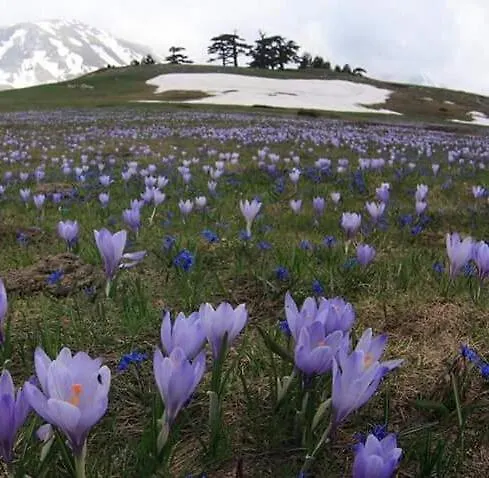La Stella Del Pollino
