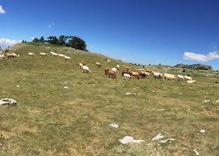 La Stella Del Pollino *