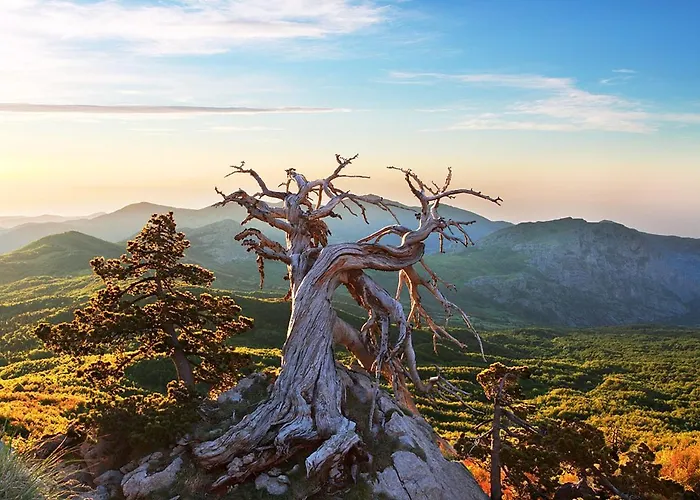 La Stella Del Pollino ゲストハウス