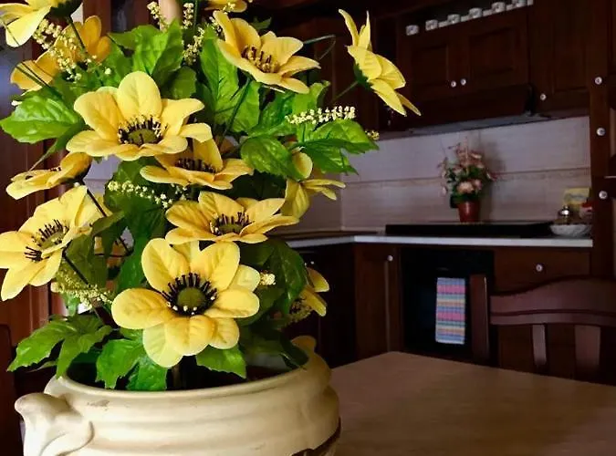 La Stella Del Pollino *